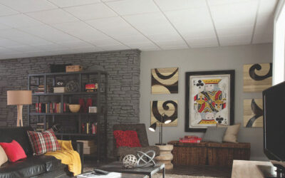 Basement Ceiling Ideas